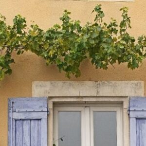 Τεχνητή κληματαριά -αμπελόφυλλο γιρλάντα