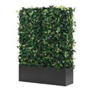 παρτέρι τεχνητού κισσού 1.30 χ0.60 χ 0.20