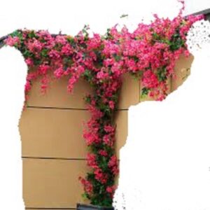 τεχνητή βοκαμβίλια κρεμαστή