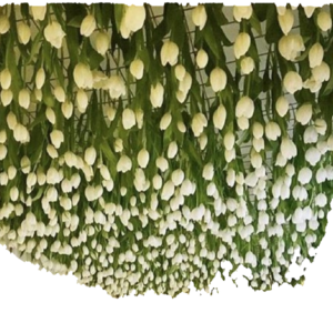 τεχνητές κρεμαστές τουλίπες