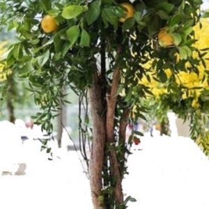 Τεχνητό δέντρο λεμονιάς (διακοσμητικό τραπεζιού )1.10μ.