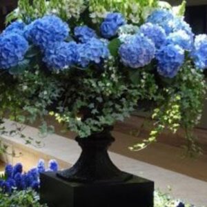 σύνθεση με τεχνητά άνθη ορτανσίες σε αμφορέα