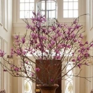 τεχνητή μανώλια