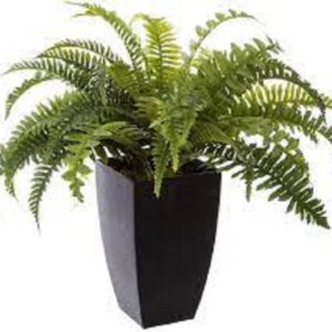 Τεχνητή φτέρη σε γλάστρα 1.30 μ.