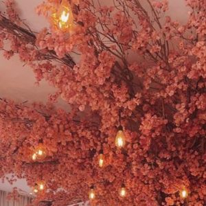 Τεχνητή βουκαμβίλια οροφής 6m²