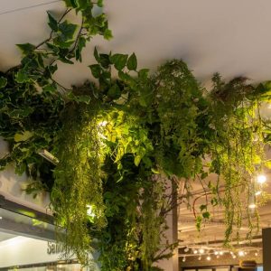 Τεχνητή αναρριχόμενη πρασινάδα