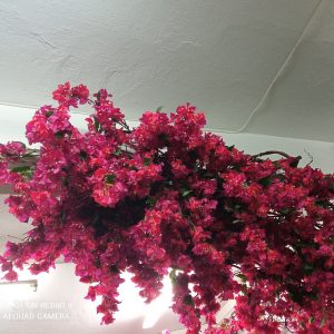 Τεχνητή βοκαμβίλια μωβ  για τοίχο
