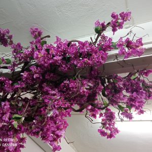 τεχνητή βοκαμβίλιαγια τροίχο