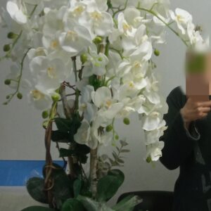 ΤΕΧΝΗΤΉ ΟΡΧΙΔΈΑ
