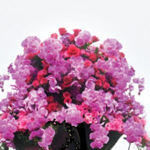 Τεχνητά ανθη ορχιδέας με τριαντάφυλλα 0.90μ. χ 0.50μ.