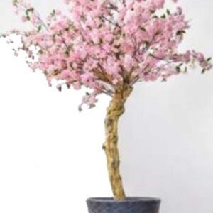 τεχνητή αμυγδαλια σε πλαστική γλάστρα 2μ.