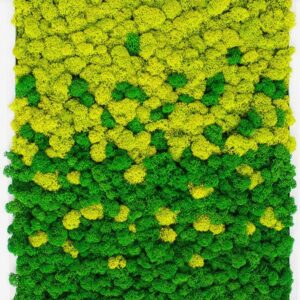 Πράσινος τοίχος -πάνελ απο βρύα δίχρωμα 1 μ. χ 1μ.