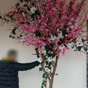 Τεχνητή κερασιά με Μανόλια δέντρο 3μ.