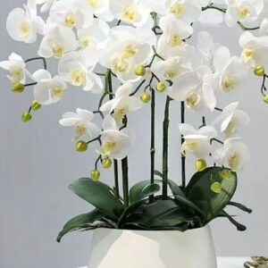 τεχνητή βοκαμβιλια για κολώνα