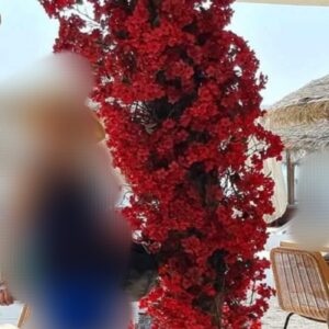Τεχνητή βοκαμβίλια για στολισμό καμάρας μηκ.1.50μ. χ υψ.2μ.