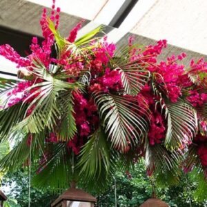 Τεχνητά τροπικα φυτα αρέκα με βοκαμβίλια για οροφη 1.30μ.