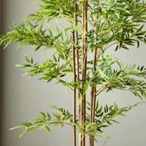 Μπαμπού τεχνητό δέντρο σε πηλινη γλάστρα Υ 2Μ.
