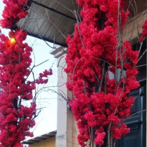 Διακοσμητική τεχνητή βοκαμβίλια σε καμάρα με φυσικό κλαδια Υ2,50Μ. Χ 3Μ.