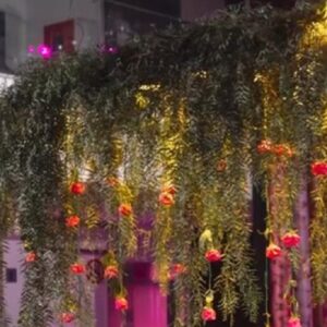 Σύνθεση οροφής με τεχνητά φυτά κρεμαστά (1.20μ.)