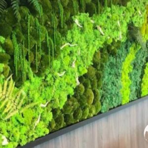 ΔΙΑΚΟΣΜΗΤΙΚΟ ΠΑΝΕΛ ΜΕ ΒΡΥΑ  ΜΟΣ ΦΥΣΙΚΆ -ΕΠΕΞΕΡΓΑΣΜΕΝΑ -ΑΙΩΝΙΑ 1,20 Χ 2Μ.