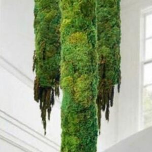 Διακοσμητικό οροφής με φυσική βρυα wall ΜΟΣ κρεμαστό (σετ3) Δ0,30Μ.