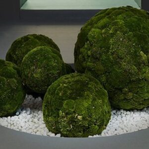 ΒΙΟΦΙΛΙΚΗ ΔΙΑΚΟΣΜΗΤΙΚΗ ΜΠΑΛΑ ΒΡΥΑΣ