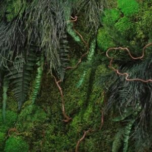 ΒΡΥΑ ΔΙΑΤΗΡΗΜΕΝΑ ΚΑΘΕΤΟΣ ΚΗΠΟΣ 1μ. χ1,80μ.