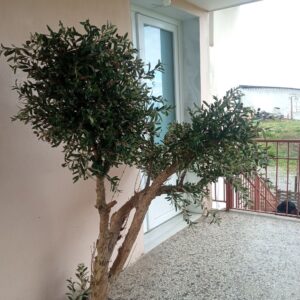 Τεχνητή ελια για διακόσμηση σε κλιμακοστάσιο Υ1,70 χ1,70μ.