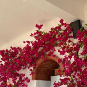 Τεχνητή βοκαμβίλια αναρριχόμενη τοίχου 2.40μ. χ 0,80μ.