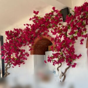 ΑΝΑΡΡΥΧΟΜΕΝΗ ΤΕΧΝΗΤΗ ΒΟΚΑΜΒΙΛΙΑ 4,50Μ.