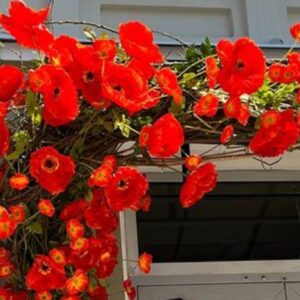 Τεχνητά ανθη παπαρούνες γιρλαντα 2μ.