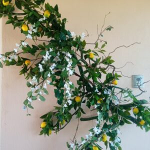 ΤΕΧΝΗΤΗ ΛΕΜΟΝΙΑ ΜΕ ΑΝΘΗ 2Μ.