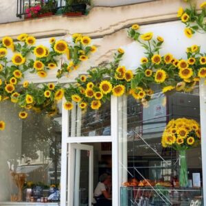 Τεχνητά ανθη ηλιανθοι γιρλαντα 2,50μ.