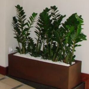 ΤΕΧΝΗΤΗ ΖΑΜΙΑ ΣΕ ΠΗΛΙΝΟ ΑΝΘΡΑΚΙ ΠΑΡΤΕΡΙ