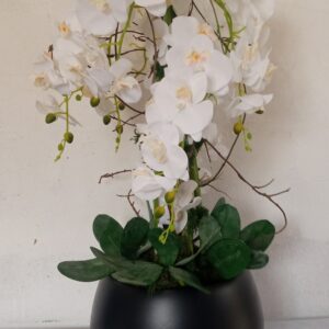 ΤΕΧΝΗΤΉ ΟΡΧΙΔΕΑ Υ0,80Μ.