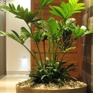 τεχνητό φυλοδεντρο