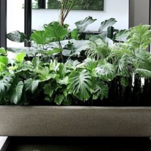 Τεχνητά φυτα τροπικά σε παρτέρι πηλινο κασπώ 0,80μ.(μηκος)