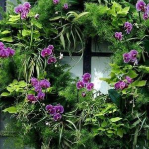 ΣΤΕΦΑΝΙ ΤΟΙΧΟΥ ΜΕ ΤΕΧΝΗΤΑ ΦΥΤΑ ΣΠΑΡΑΓΓΙ ΚΑΙ ΟΡΧΙΔΕΕΣ (0,80μ.διαμ)