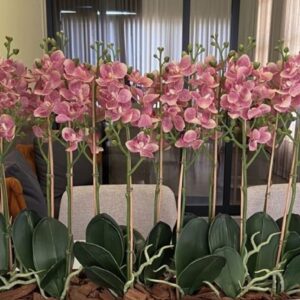 Τεχνητή σύνθεση με ορχιδέα στενόμακρη σύνθεση επιτραπέζια 0,80μ.