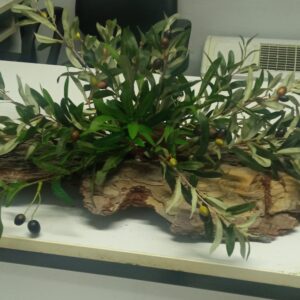 Τεχνητή ΕΛΙΑ ΕΠΙΤΡΑΠΕΖΙΑ ΣΥΝΘΕΣΗ ΣΕ ΦΛΟΙΟ 1Μ.