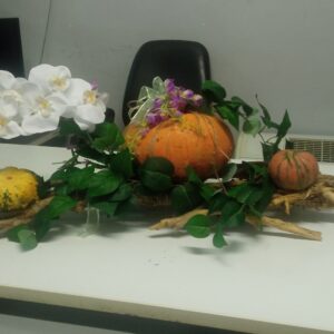 Τεχνητή ορχιδεα με κολοκυθες 0,60μ.