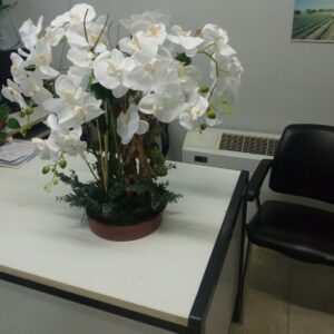 Τεχνητή ορχιδεα σε κασπω Υ 0,60μ.