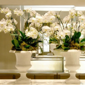 Τεχνητή ορχιδέα σε αμφορέα σετ 2 ( Υ1,30μ.)