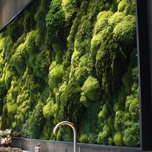 ΔΙΑΚΟΣΜΗΣΗ ΤΟΙΧΟΥ ΜΕ ΒΡΥΑ ΑΙΩΝΙΑ WALL MOS 2Μ. Χ 0.80Μ.