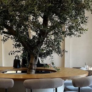 ΤΕΧΝΗΤΉ ΕΛΙΑ ΣΕ ΦΥΣΙΚΟ ΚΟΡΜΟ 2,50Μ.