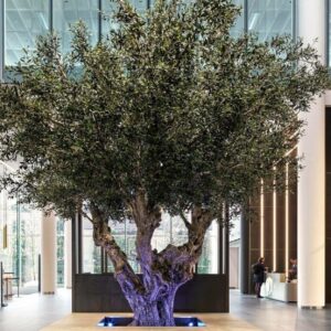 ΤΕΧΝΗΤΌ ΔΕΝΤΡΟ ΕΛΙΑ ΠΑΛΑΙΩΜΕΝΟΣ ΚΟΡΜΟΣ ΦΥΣΙΚΟΣ Υ2,80Μ.