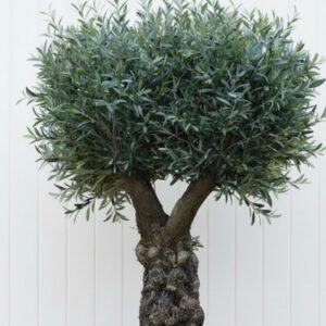 ΤΕΧΝΗΤΟ ΔΕΝΤΡΟ ΑΡΧΑΙΑ ΕΛΙΑ 2,50Μ.