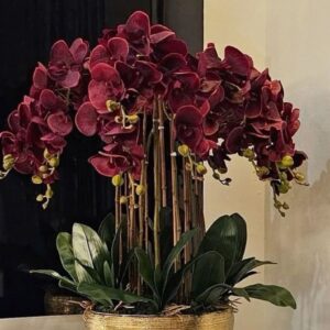 ΤΕΧΝΗΤΉ ΟΡΧΙΔΕΑ ΜΠΟΡΝΤΩ 0,80Μ.