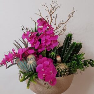 Τεχνητή ορχιδέα με κάκτους σε κεραμικό κασπώ Υ0,60