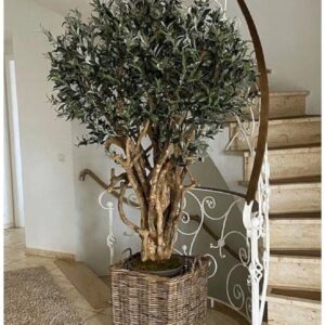 Tεχνητη ελια Υ2μ.